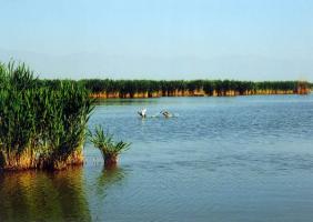 Sand Lake Ningxia Tour